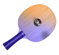 Padel ping pong